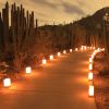 Luminaria Candles 200ct